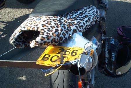 CURLING =DESTRUCTION PHARE ET PLAQUE